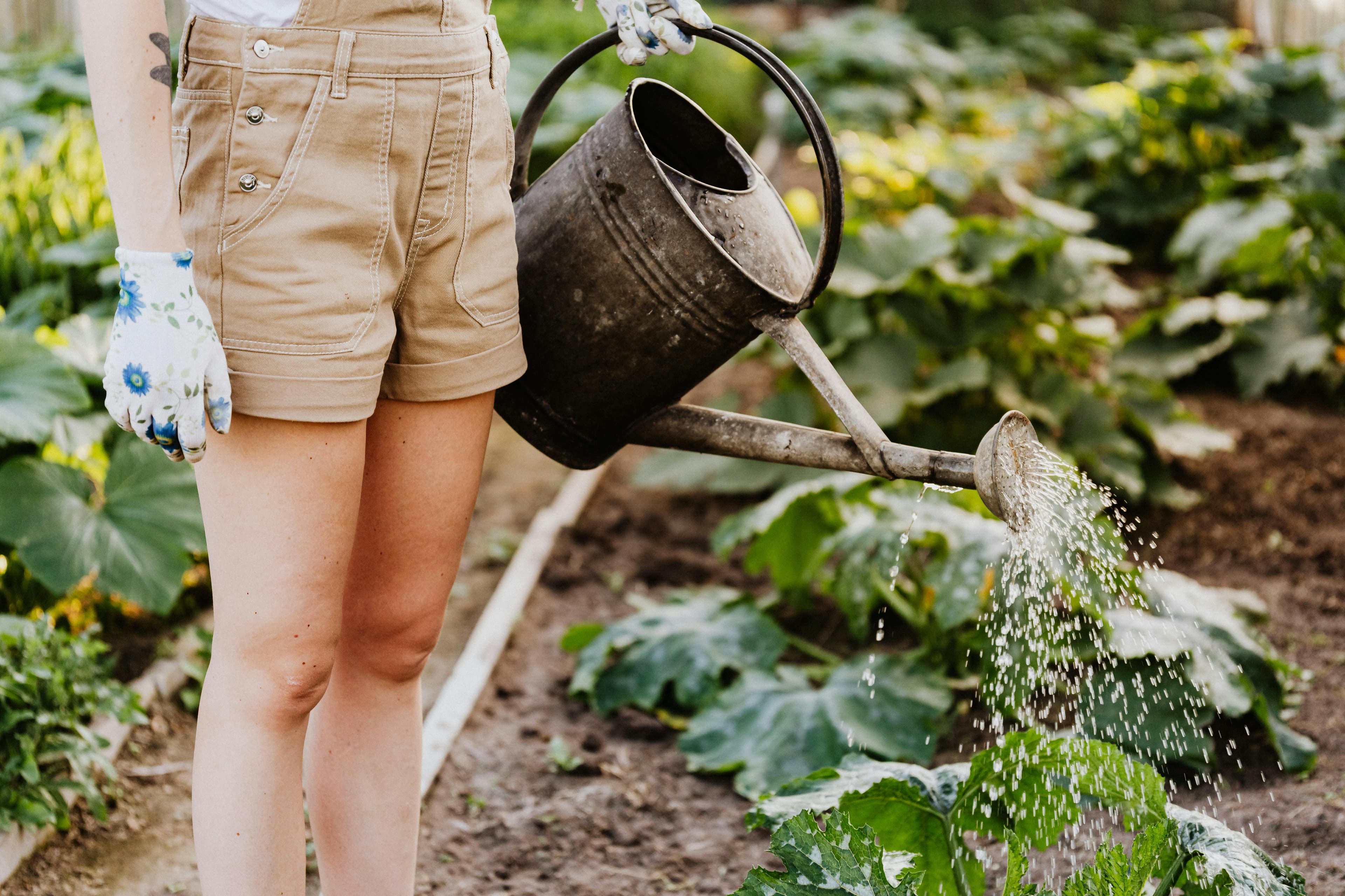 Landscaping and irrigation team serving Dallas–Fort Worth