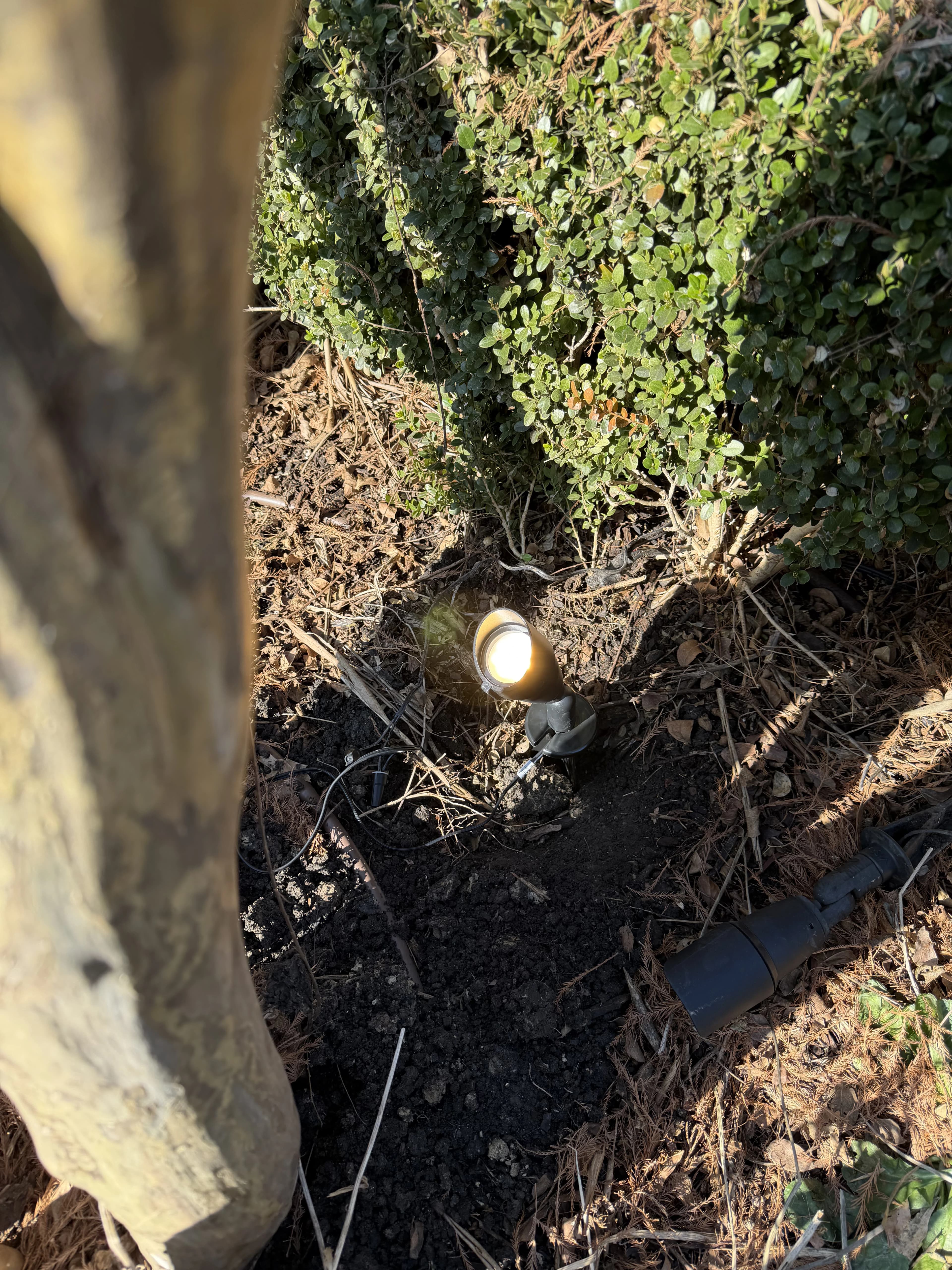 Landscape lighting for flowerbeds and walkways in DFW