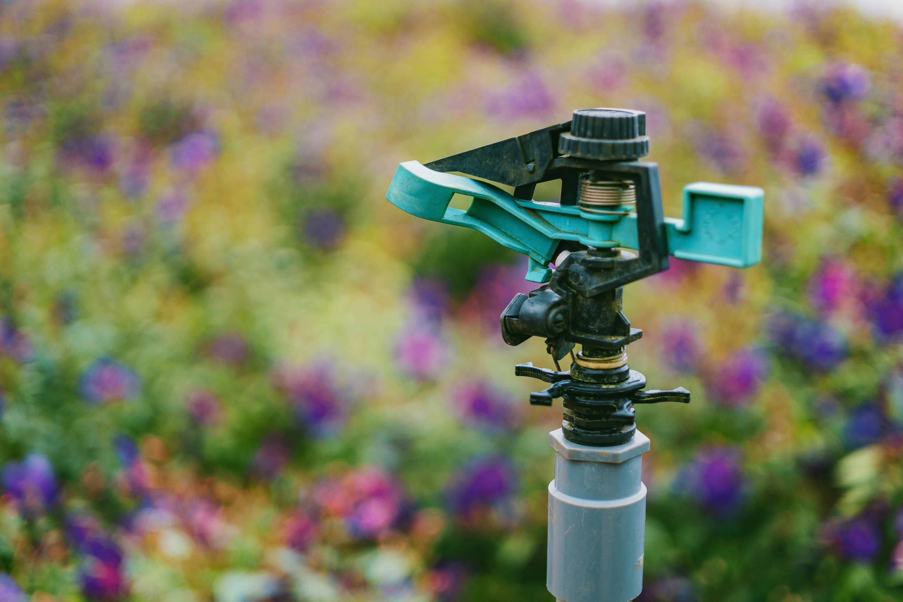 Landscaping and irrigation services in the Dallas–Fort Worth area